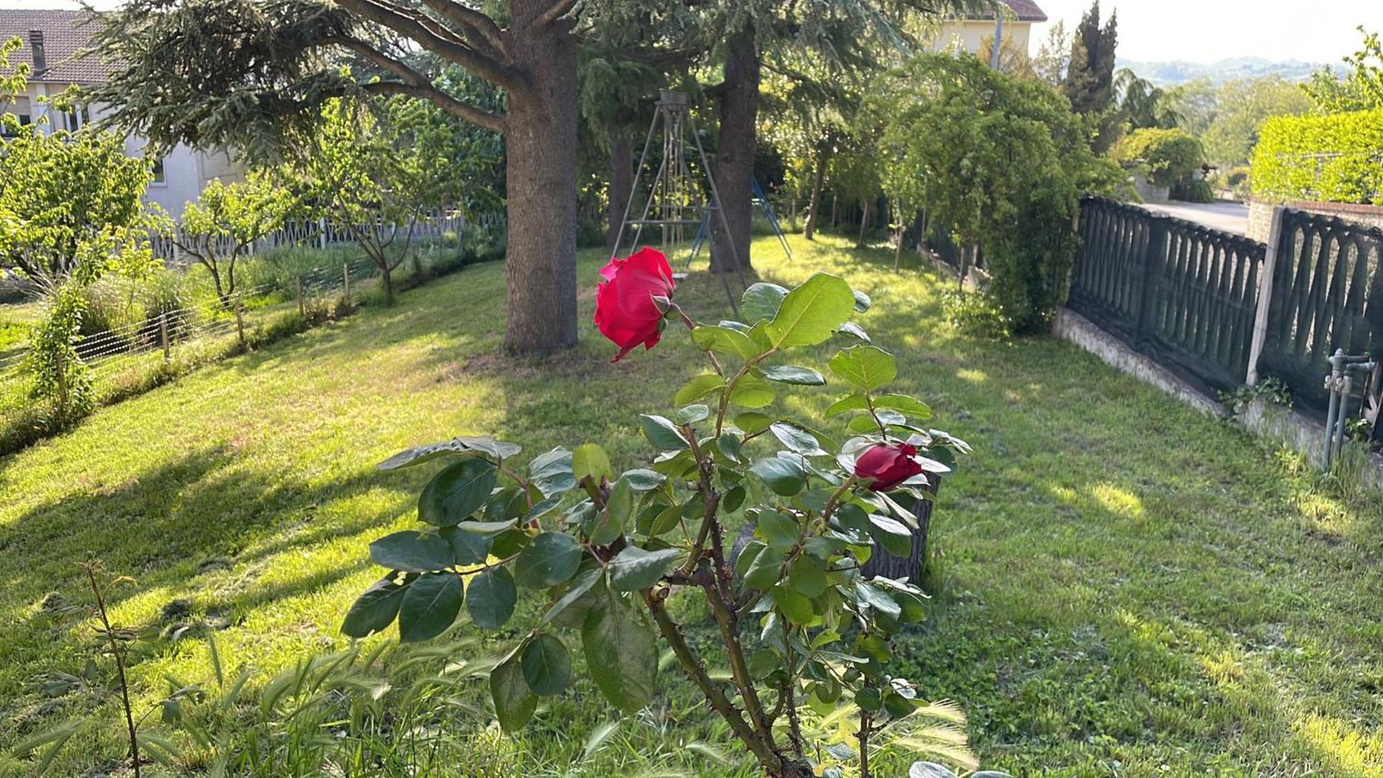 Room In Bb - Casa T Home Bed And Breakfast Tagliolo Monferrato Exterior photo